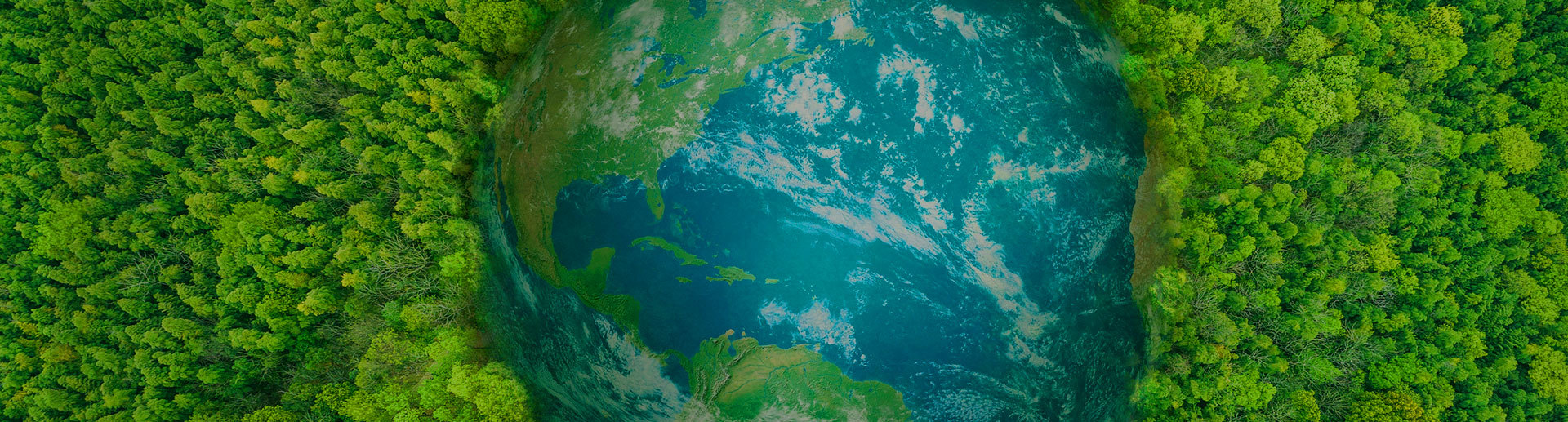 安徽綠寶電纜有限公司